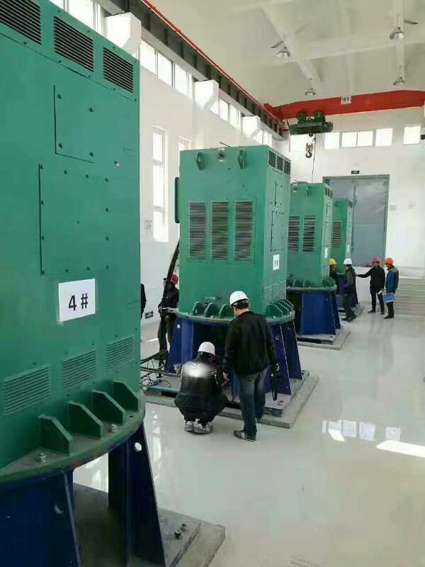 栾川某污水处理厂使用我厂的立式高压电机安装现场